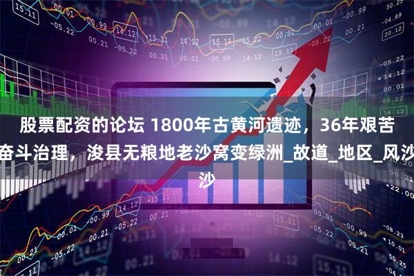 股票配资的论坛 1800年古黄河遗迹，36年艰苦奋斗治理，浚县无粮地老沙窝变绿洲_故道_地区_风沙