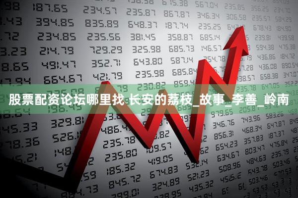 股票配资论坛哪里找 长安的荔枝_故事_李善_岭南