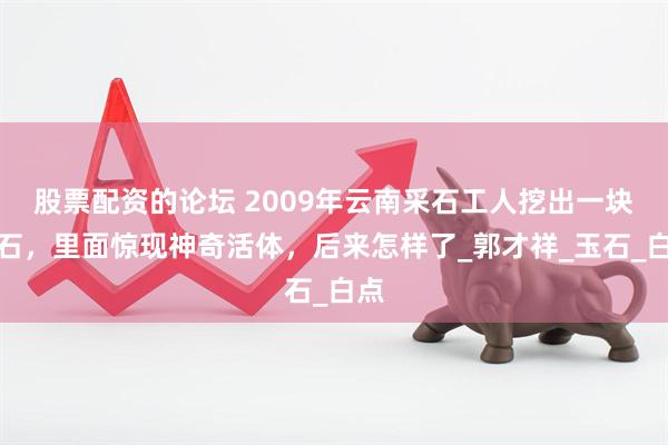 股票配资的论坛 2009年云南采石工人挖出一块奇石，里面惊现神奇活体，后来怎样了_郭才祥_玉石_白点