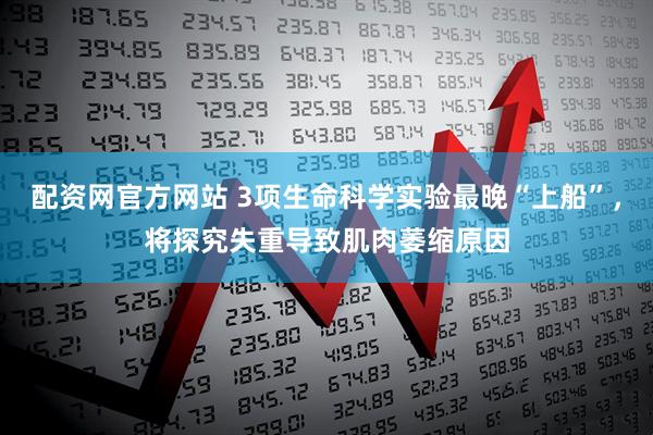 配资网官方网站 3项生命科学实验最晚“上船”，将探究失重导致肌肉萎缩原因